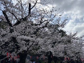 �n�[�h�ȎO����